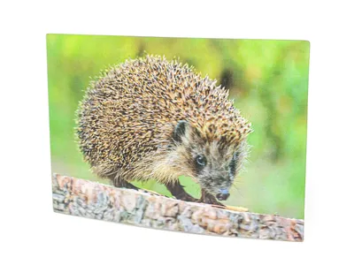 Produktbild von 3 D Ansichtskarte Igel, Postkarte Wackelkarte Hologrammkarte Tiere Tier