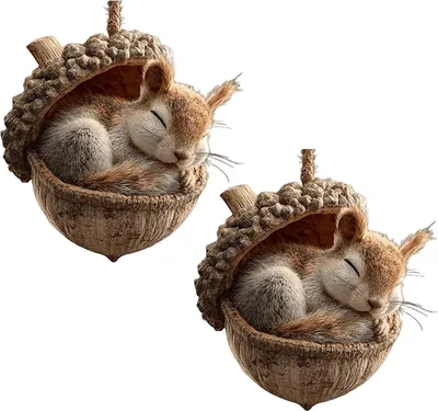 Two decorative acorn ornaments, each with a sleeping squirrel inside, are shown against a white background.