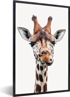 Produktbild von MuchoWow® Gerahmtes Poster Jungen - Giraffe - Tiere - Kopf - Porträt - Kind - Mädchen 60x90 cm - Poster mit Schwarzem Bilderrahmen Wandposter Rahmen Foto Bilder - Kunst