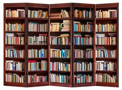 Zdjęcie produktu dla LUMASOUL Parawan jednostronny, Przegroda do wnętrz, Biblioteka, 225x172 cm