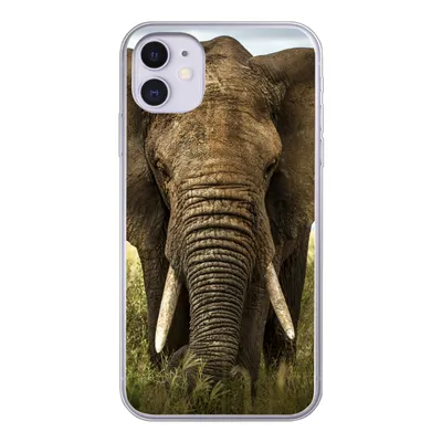 Produktbild von MuchoWow® Handyhülle Schutzhülle Hülle für iPhone 11 Elefant - Natur - Gras - Tiere - Landschaft Silikon Softcase Handy Hülle - Handytasche