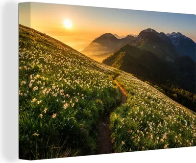 Produktbild von OneMillionCanvasses® - Leinwandbilder - 140x90 cm, Blumen - Sonne - Berge, Wandbilder Kunstdruck Wanddekoration - Foto auf Leinwand - Gemälde auf Holzrahmen