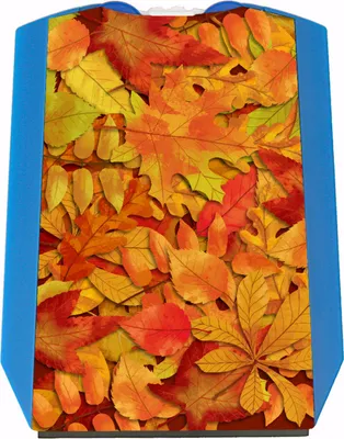 Produktbild von Herbstblätter Laubhaufen Parkscheibe mit zwei Einkaufswagenchips