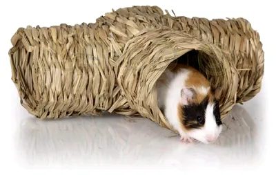 Produktbild von Naturspielzeug für Nager - Tunnel aus Schilf für Meerschweinchen und Hamster