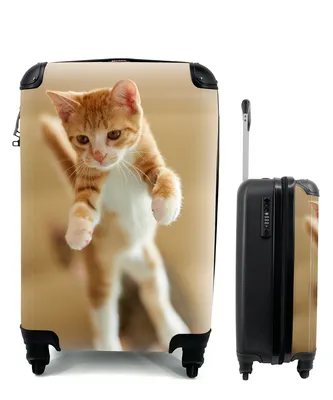 Produktbild von MuchoWow® Koffer Handgepäck Trolley Rollkoffer Kleine Reisekoffer mit 4 Rollen - Eine Nahaufnahme eines springenden Kätzchens - Cabin Size < 55x40x23 cm & 55x40x20 cm - Fotokoffer - Kabinenkoffer - Boardgepäck - Reise-Box - Reisekoffer - Reisegepäck - Koffer mit Bild - Trolley für Kinder