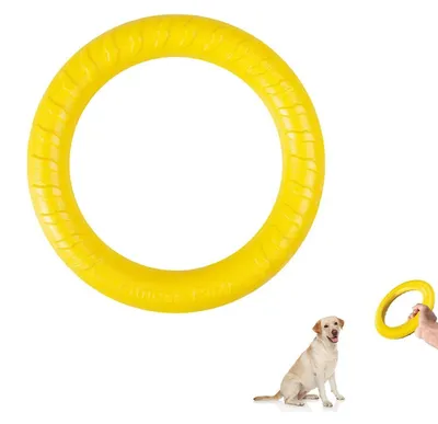 Produktbild von Hunde Fitness Ring Gelb 18cm Interaktiver Trainingsring Wasserspielzeug