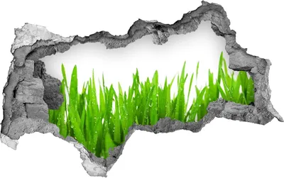 Produktbild von Selbstklebender Loch-3D-Aufkleber 95x73 cm Gras