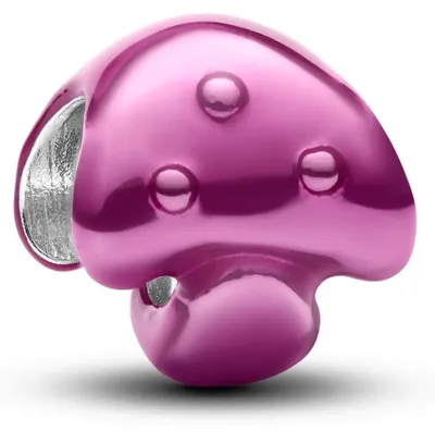 Produktbild von Pandora-Konto, 925Er Silber 794906C01