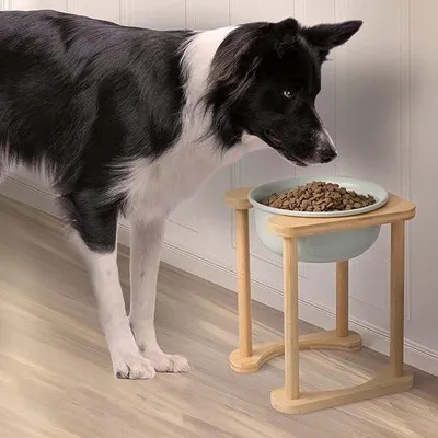 Produktbild von Famanu Futterstation für kleine Hunde und Katzen - Erhöhte Fressnäpfe