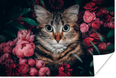 Produktbild von MuchoWow® Poster Katze - Blumen - Tiere - Botanisch 180x120 cm - Fotoplakat