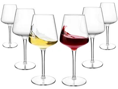 Immagine prodotto di Elzusha - Set di 6 bicchieri da vino infrangibili in plastica Tritan