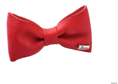 Produktbild von HUNTER Halsband-Fliege Paris, rot
