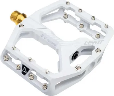 Immagine prodotto di Pedali Leatt Ceramag All Mountain 8.0 Ti Flat 114x100 Mm Argento Argento Taglia Unica