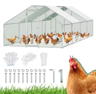 Image de Voliaire pour poules Peviasot, dimensions 3 x 8 x 2 mètres, surface de 24 m², toit en pente, tubes galvanisés de 25 mm, clôture en fil de fer PVC vert et bâche de protection en polyéthylène blanc avec protection UV