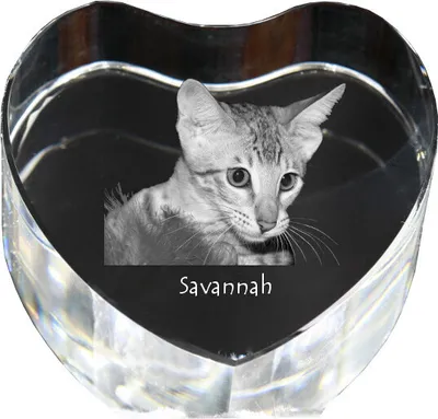 Produktbild von Savanne - Kristalluhr mit Katzenbild, Herzregal-Uhr, personalisierte Standuhr von Art-Dog.