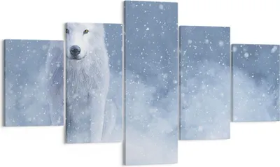 Produktbild von Bild auf Leinwand - Leinwandbild - 5 Teile - Weiß Wolf Schnee - 125x70cm - Wand Bild - Wanddeko - Wandbilder - Leinwanddruck - Bilder - Wanddekoration - Leinwand bilder - Wandbild - EA125x70-5006