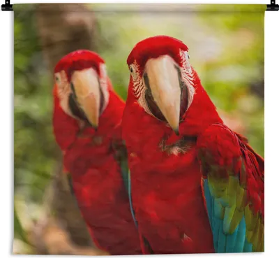 Produktbild von MuchoWow® Wandteppich Wandbehang Papageien - Vögel - Dschungel 60x60 cm Tapisserie Dekoration Wandtuch - Dekorationen - Wand Decke
