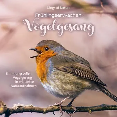 Produktbild von Frühlingserwachen: Vogelgesang