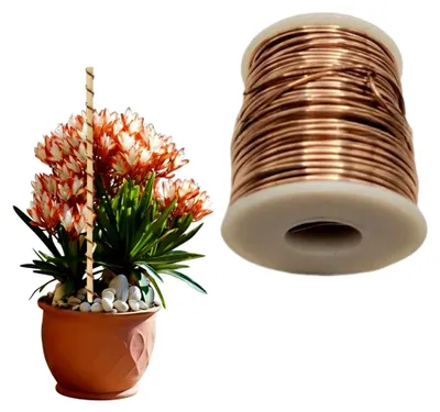 Produktbild von Kupferdraht für Pflanzen, 20m Blanker Draht, Reines Kupfer, Flexibler und Robuster Gartendraht für Gemüse, Blumen und Gewächshäuser (1mm)
