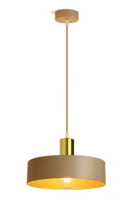 A pendant light fixture hanging from a cord against a white background.