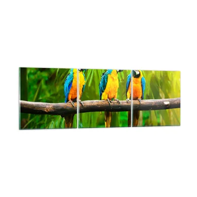 Produktbild von Bilder auf glas - Papageien Collorful Natur Vögel - 90x30cm - Glasbilder - Wandbilder - Kunstdruck - zum Aufhängen bereit - Wanddekoration aus Glas - Glas Bilder - Wandbild auf Glas - GCA90x30-2696