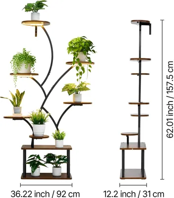 A multi-tiered plant stand with plants on each tier, shown next to a diagram of its dimensions.
