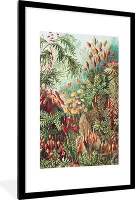 Produktbild von MuchoWow® Gerahmtes Poster Blumen - Kunst - Vintage - Natur - Botanisch 60x90 cm - Poster mit Schwarzem Bilderrahmen Wandposter Rahmen Foto Bilder - Dekoration - Wandposter Wohnzimmer - Hochwertig