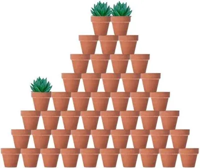 Obrázek produktu pro Terakotové květináče Famanu – ideální pro sukulenty – 48 kusů – 5 cm – přírodní vzhled