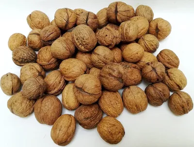Produktbild von IGART Haselnüsse 3kg + Walnüsse 10kg in der Schale MIX Hazelnuts Walnuts Schmackhafte reif Walnüsse Unbehandelt