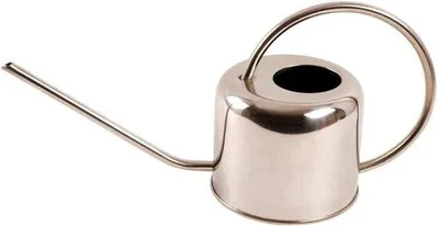 Produktbild von Famanu Gießkanne aus Edelstahl - 1 Liter - 18 x 36 x 13 cm