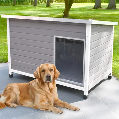 Produktbild von zooprinz Hundehütte Jacky | XL | Wetterfest | Massivholz | Klappdach | Höhenvestellbar | 117x80x75,5cm (BxHxT)