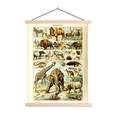 Produktbild von MuchoWow® Textilposter Tiere - Kamel - Giraffe - Jahrgang - Adolphe Millot 40x53 cm mit holzfarbenen Rahmen - Schlafzimmer
