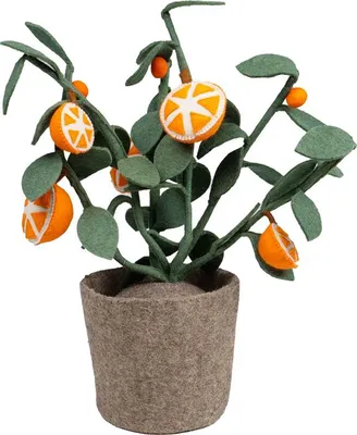 Produktbild von Kidsdepot Pflanze - Orange | KidsDepot