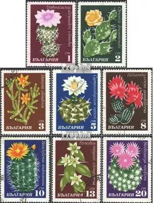 Produktbild von Briefmarken Bulgarien 1970 Mi 1991-1998 (kompl.Ausg.) gestempelt Kakteen