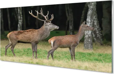 Immagine prodotto di Quadri in vetro, dimensioni 140x70, arte da parete, Hirschwald