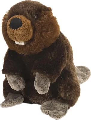 A plush toy beaver sitting on a white background.