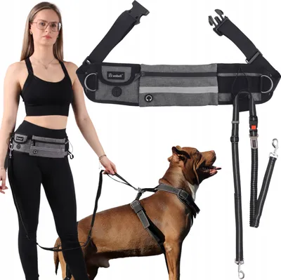 Produktbild von FIT4MED | Sportliche Hundeleine - Grau - Verstellbarer Hüftgurt 75–132 Cm - Dämpfende Funktion - Für Hunde Bis 50 Kg