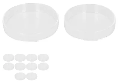 Petrischalen aus Borosilikatglas, 10 Stück, Ø 57/63 mm