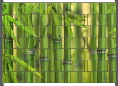 Produktbild von Wallario Zaunsichtschutz mit Motiv Grüner Bambuswald für Ein- und Doppelstabmatten Zäune in der Größe 200 x 140 cm