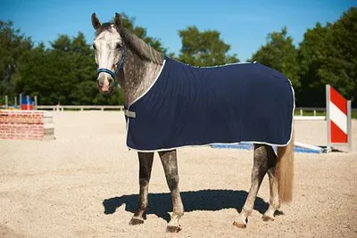 Produktbild von Kerbl Fleece-Pferdedecke RugBe Economic Navy 125/175 cm 328681