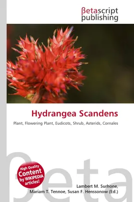 Produktbild von Hydrangea Scandens