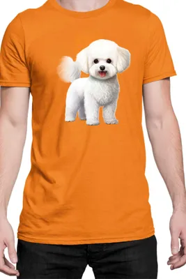 Produktbild von Herren T-Shirt Dogs Breeds Bichon Frise Dog Breed 005, Man 3XL / Orange