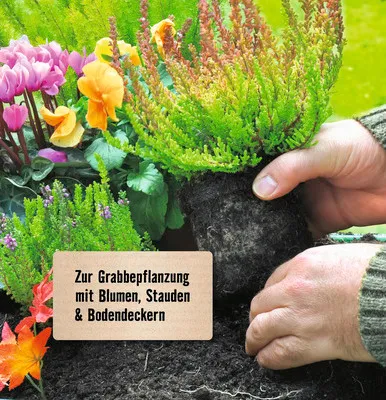 Produktbild von Graberde FloraSelf 20 L