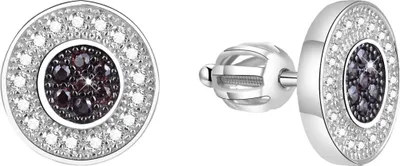 Image de Boucles d'oreilles argent AGUP1834S