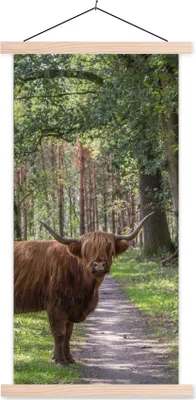 Produktbild von MuchoWow® Textilposter Schottisches Hochlandrind - Kröte - Baum 60x120 cm mit holzfarbenen Rahmen - Holz