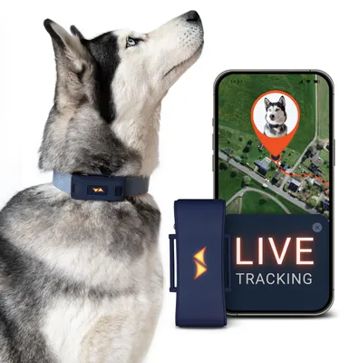 Produktbild von GPS Tracker für Hunde 4G -inkl. 3 Monate Premium ABO- weltweite Live-Ortung – Blau, Akt.-Tracking, Lieferumfang PLUS
