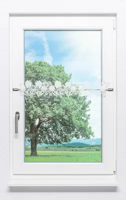 Produktbild von Scheibengardine Plauener Spitze - Tulpenband #1W (BxH) 66cm x 14cm weiß