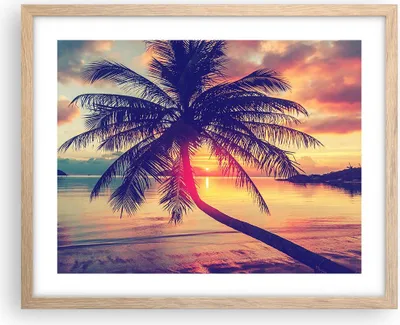 Produktbild von Gerahmtes Poster - Rahmen in heller Eiche - Meer Strand Palme - 50x40 cm - Wand Bild - Wanddeko - Wandbilder - Wandposter - Bilderrahmen - Bilder - Kunstdruck - Wandbild - P2NAA50x40-3925