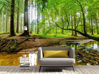 Obrázek produktu pro Tapeta Muur s motivem lesa a potoka, rozměry 200 x 150 cm