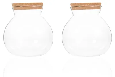 Productafbeelding van Set van 2 luchtdichte glazen containers met kurkdeksel, inhoud 500 ml